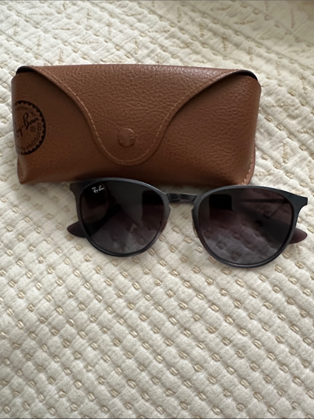 Ray-Ban Black Frame Sunglasses with Brown Case
